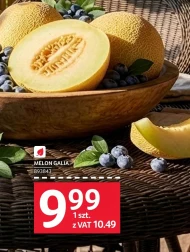 Melon