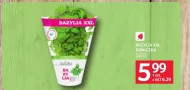 Bazylia