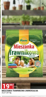 Trawa Planta
