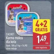 Mokra karma dla kota Cachet