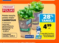 Bazylia Carrefour