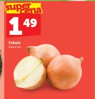 Cebula