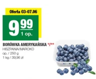 Borówka amerykańska