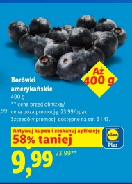 Borówki amerykańskie