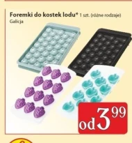 Foremka do lodu Galicja