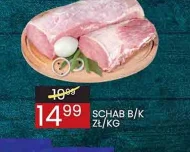 Schab