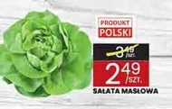 Sałata masłowa Polski
