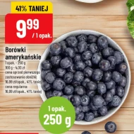 Borówki amerykańskie