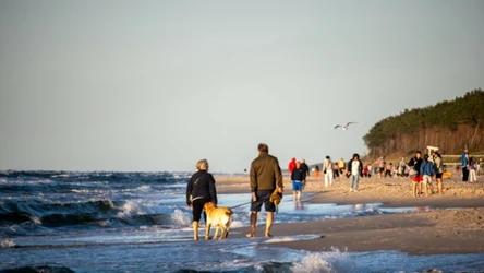 Kiedy nad Bałtykiem jest najwięcej jodu? Wielki mit wakacji