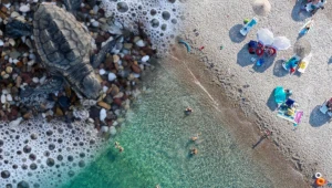 Zakaz na tureckich plażach, czas na sezon lęgowy żółwi