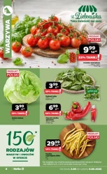Świeżo i tanio każdego dnia - Netto