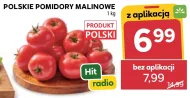 Помідори Hit
