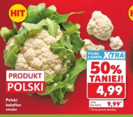 Kalafior Polski