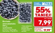 Borówki amerykańskie