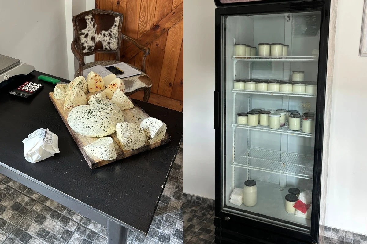 Deska z różnymi rodzajami serów, niektóre z ziołami, ustawiona na czarnym stole oraz lodówka wypełniona słoikami z produktami mleczarskimi.