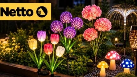 Świecące dekoracje do ogrodu już od 5 zł. Oferta Netto kończy się już jutro