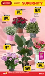Letnie superhity - POLOmarket
