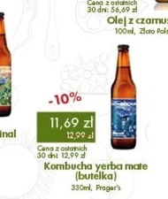 Комбуча Kombucha