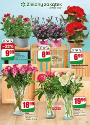 Promocje pełne smaku – Dino