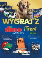 Promocje pełne smaku – Dino