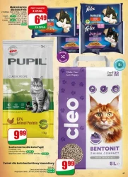 Promocje pełne smaku – Dino