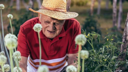 Hortiterapia to forma terapii przez przebywanie na świeżym powietrzu, w kontakcie z naturą. Ogrodnictwo jest idealnym hobby dla seniorów.