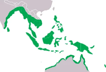 Zielonym kolorem zaznaczony zasięg geograficzny rozciągający się od południowo-wschodniej Azji przez archipelag Malajski po północną część Australii i wyspy Oceanii.