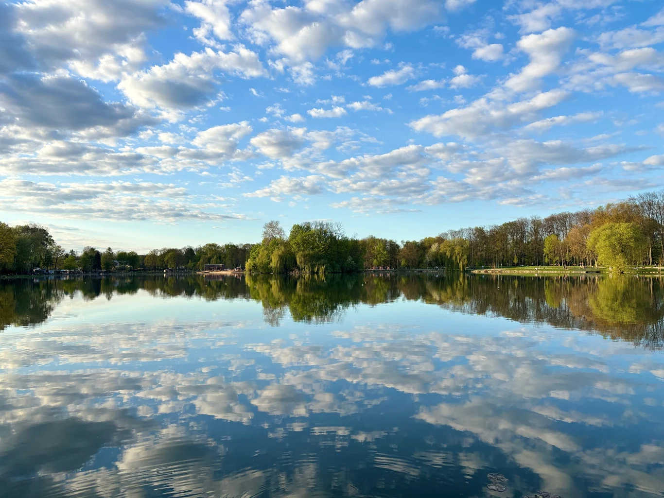 Jezioro otoczone drzewami, odbijające na swojej powierzchni błękitne niebo z rozproszonymi chmurami.