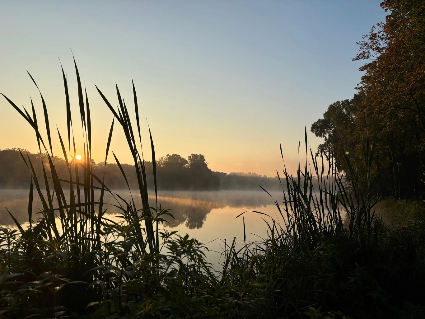 Wysokie trawy i rośliny nad brzegiem spokojnego jeziora, odbijającego promienie wschodzącego słońca; lekka mgła unosi się nad wodą, a w tle widoczne są drzewa oświetlone porannym światłem.