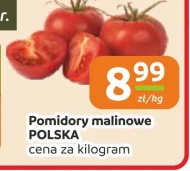 Помідори