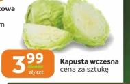 Kapusta