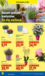 Smak czerwca na twoim stole - Lidl