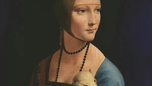 Fragment obrazu Leonardo Da Vinci, Dama z gronostajem