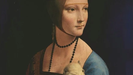 Fragment obrazu Leonardo Da Vinci, Dama z gronostajem