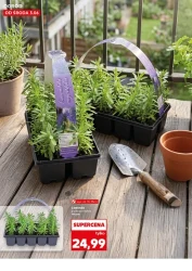 Wosenne inspiracje ogrodowe - Kaufland