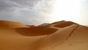 49 osób zmarło na pustyni w prowincji Agadez (zdj. ilustracyjne)