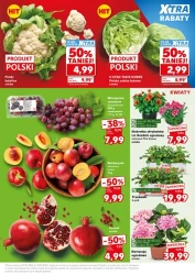 Mocny start - Kaufland
