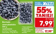 Borówki amerykańskie