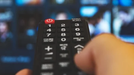 Twój pies oglądałby Netflixa! "PetTV" to nowa platforma streamingowa dedykowana zwierzętom