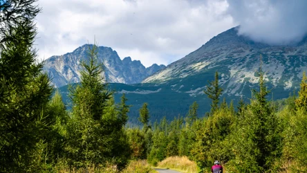 Najlepsza ścieżka rowerowa w Zakopanem. Jedziesz z widokiem na Giewont