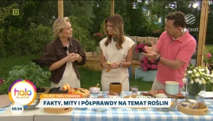 Fakty i mity o kwiatach