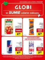 Udane zakupy! - Globi