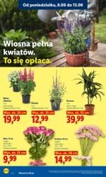 Najlepsza oferta świeżych smaków - Lidl