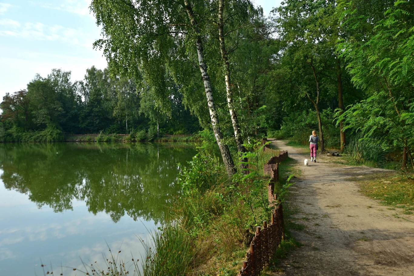 Park Rzeczny im. Włodzimierza Tetmajera w Bronowicach Małych to mało znany zielony zakątek Krakowa. Co o nim wiadomo? Staw leśny w Parku Rzecznym im. Włodzimierza Tetmajera w Krakowie, a obok ścieżka.