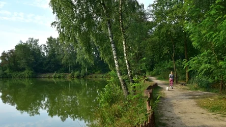 Park Rzeczny im. Włodzimierza Tetmajera w Bronowicach Małych to mało znany zielony zakątek Krakowa. Co o nim wiadomo? 