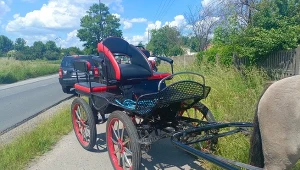 Wypadek na pielgrzymce. Proboszcz jednej z parafii trafił do szpitala
