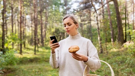 Aplikacja, która może pomóc wrócić z lasu z pełnym koszykiem grzybów. Co o niej wiadomo? 