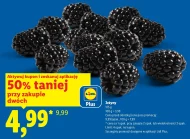 Jeżyny Plus-Plus