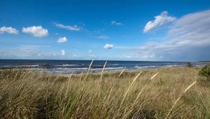 Grzybowo. Nadmorska wioska tylko 7 km od Kołobrzegu. Na zdj. widok na plażę od strony wydm