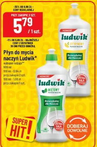 Płyn do naczyń Ludwik